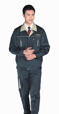 藍天鶴舞設計定制中心